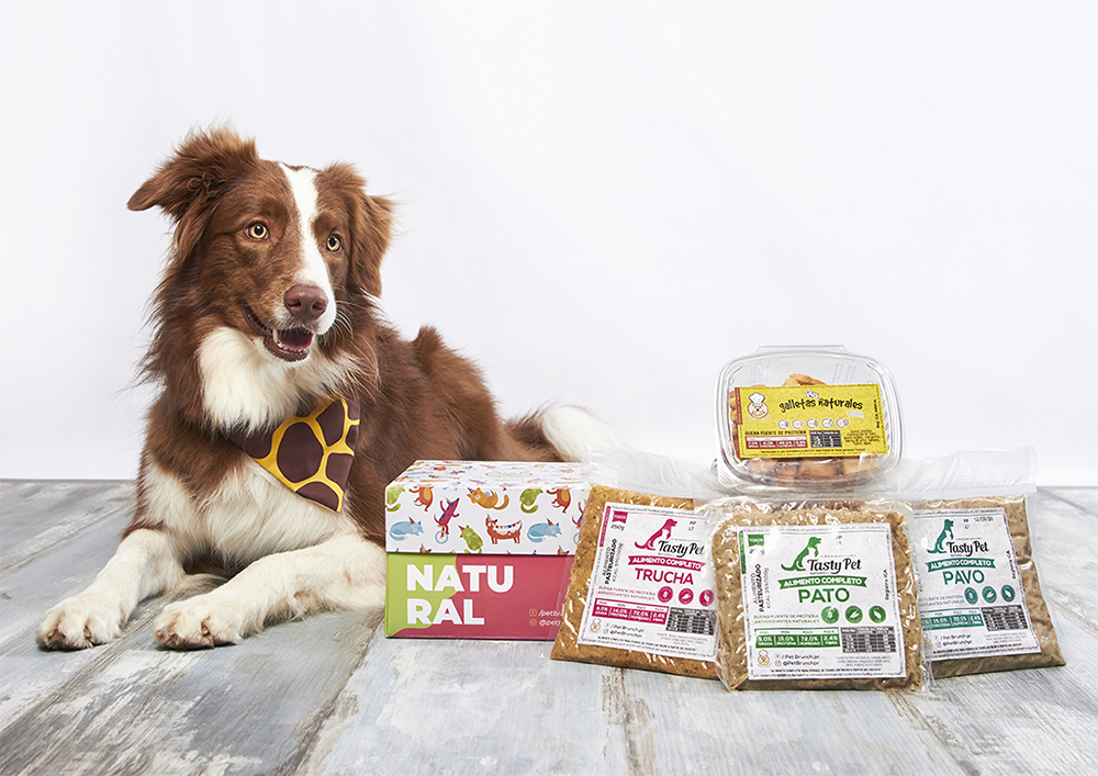 FACTORES BÁSICOS DE NUTRICIÓN / PARTE 2