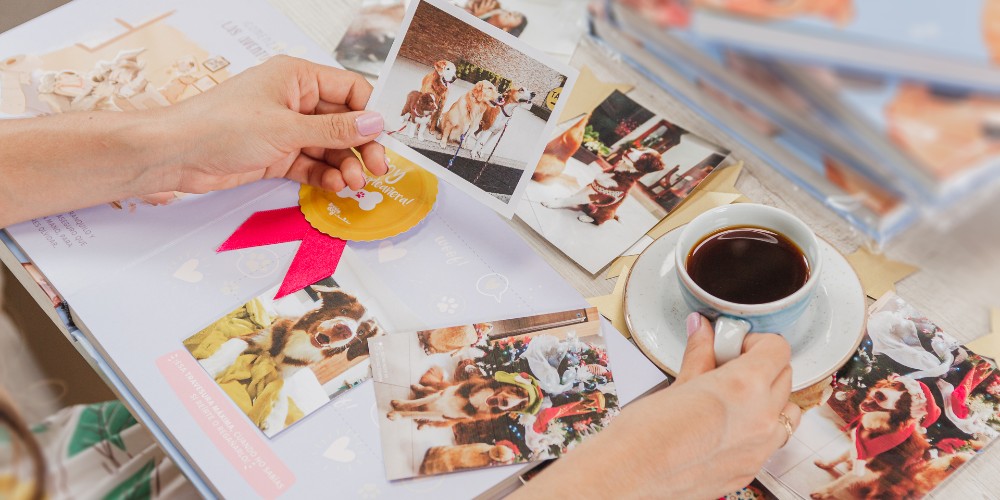 Artículo Rolling Stone 