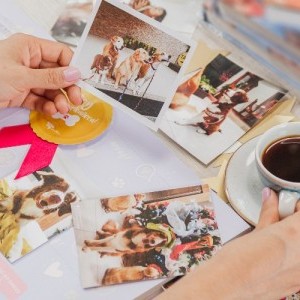 Artículo Rolling Stone 