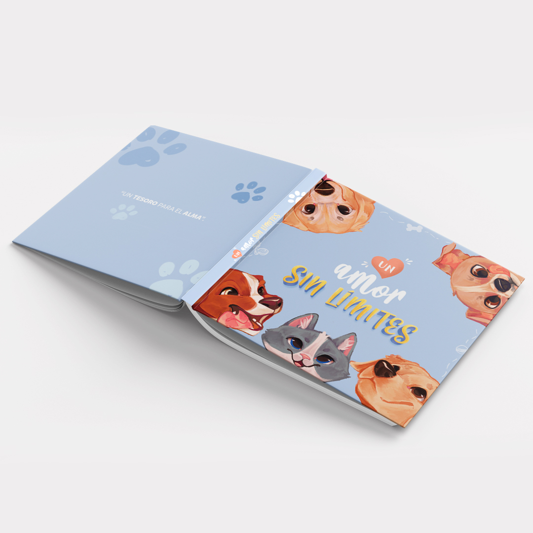 UN AMOR SIN LÍMITES 