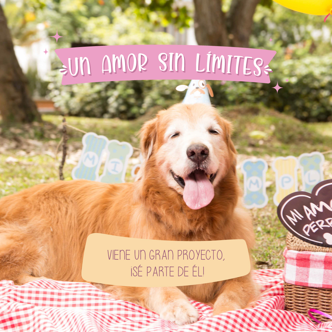 CELEBRO CADA DIA DE TU VIDA