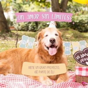 CELEBRO CADA DIA DE TU VIDA