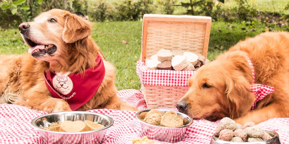 NUTRICIÓN RESPONSABLE