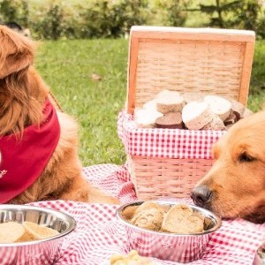 NUTRICIÓN RESPONSABLE