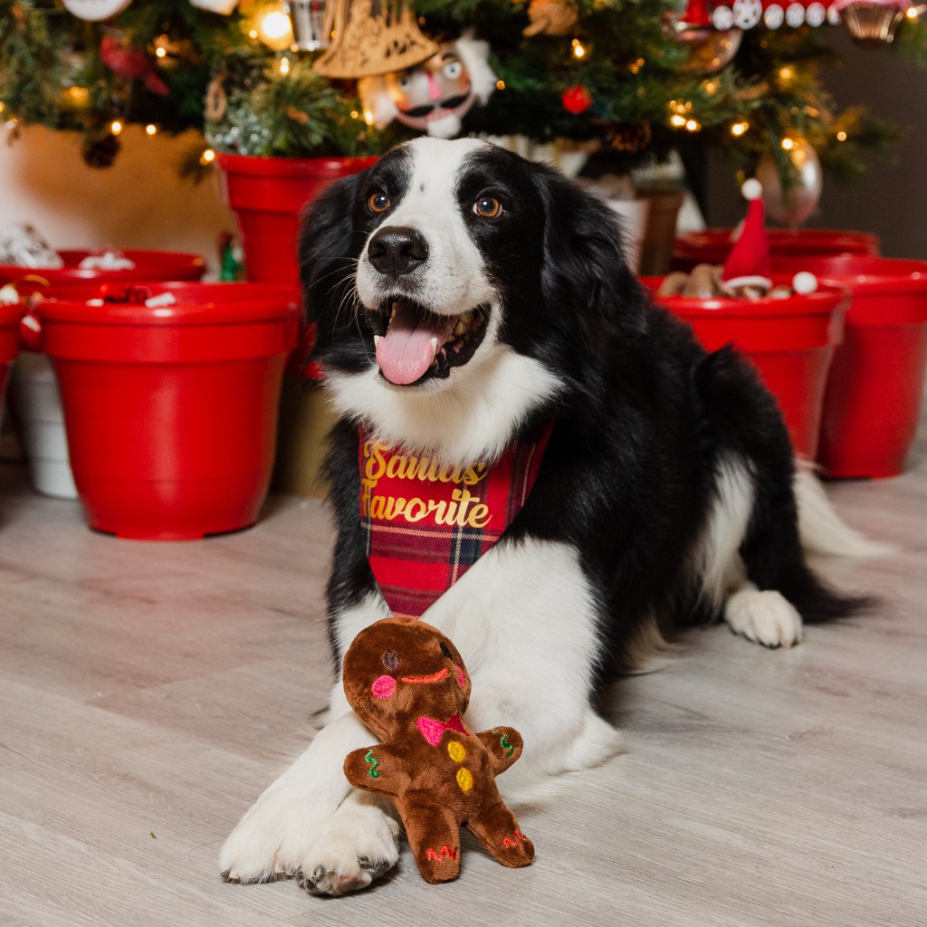 Muñeco Galleta de Jengibre_1