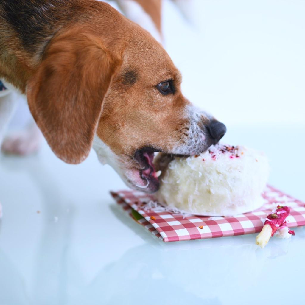 TORTA DEL CHEF COMBINACIONES handy pandy_5