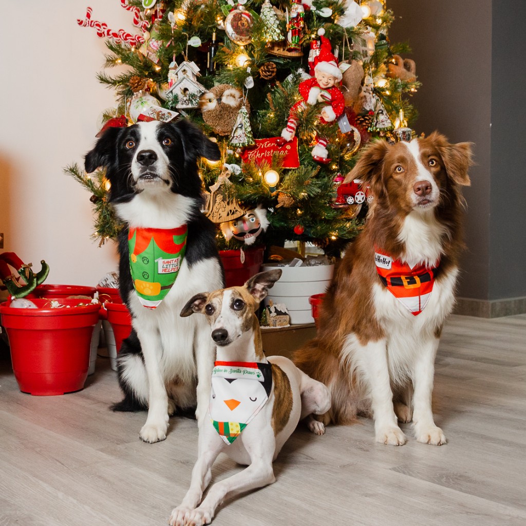 SET PAÑOLETA NAVIDAD_6