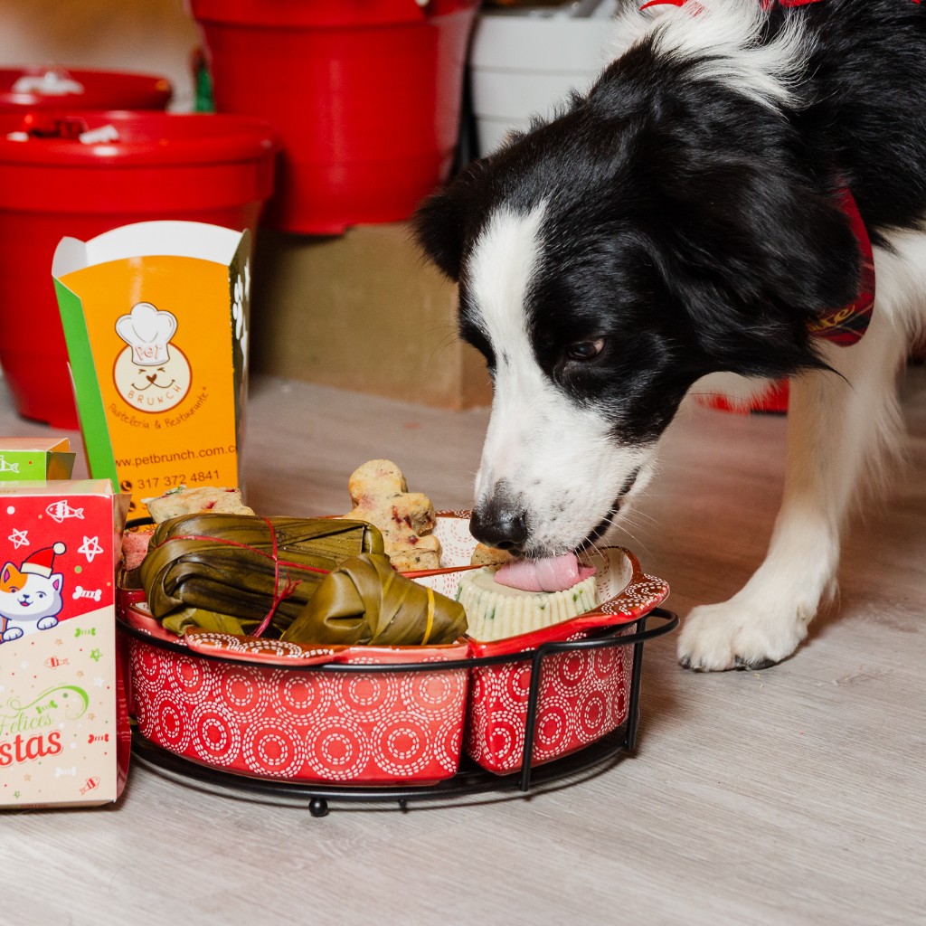 NATILLA CERDO vARIACION_2