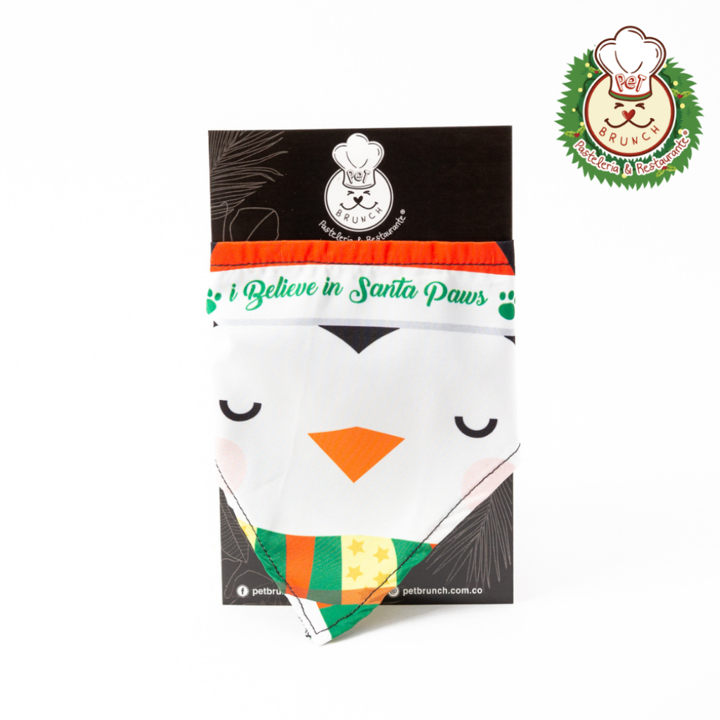 SET PAÑOLETA NAVIDAD_5