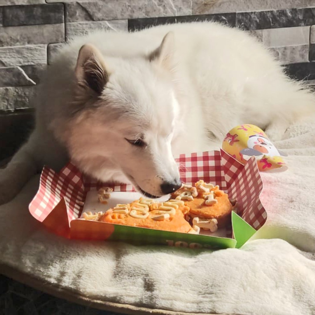 PASTEL CUMPLEAÑOS 750 gr_4